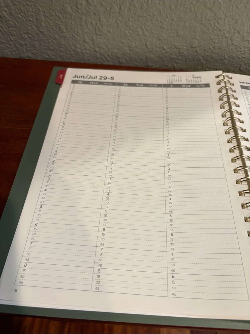 2026-2027 Spiral Academic Planner in Sage Green - New